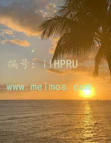 ָ